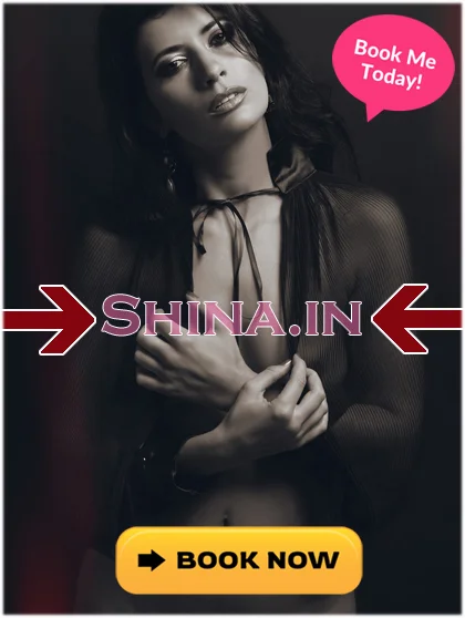 High Class Escorts in Noida